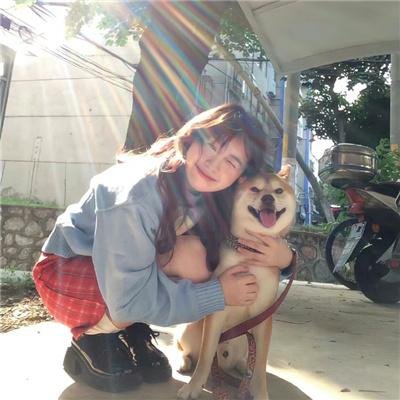 七小汪警犬队
